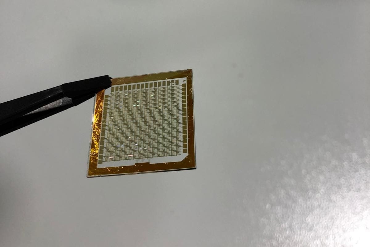 A test die held in tweezers, its grid of contact pads visible inside a gold border.